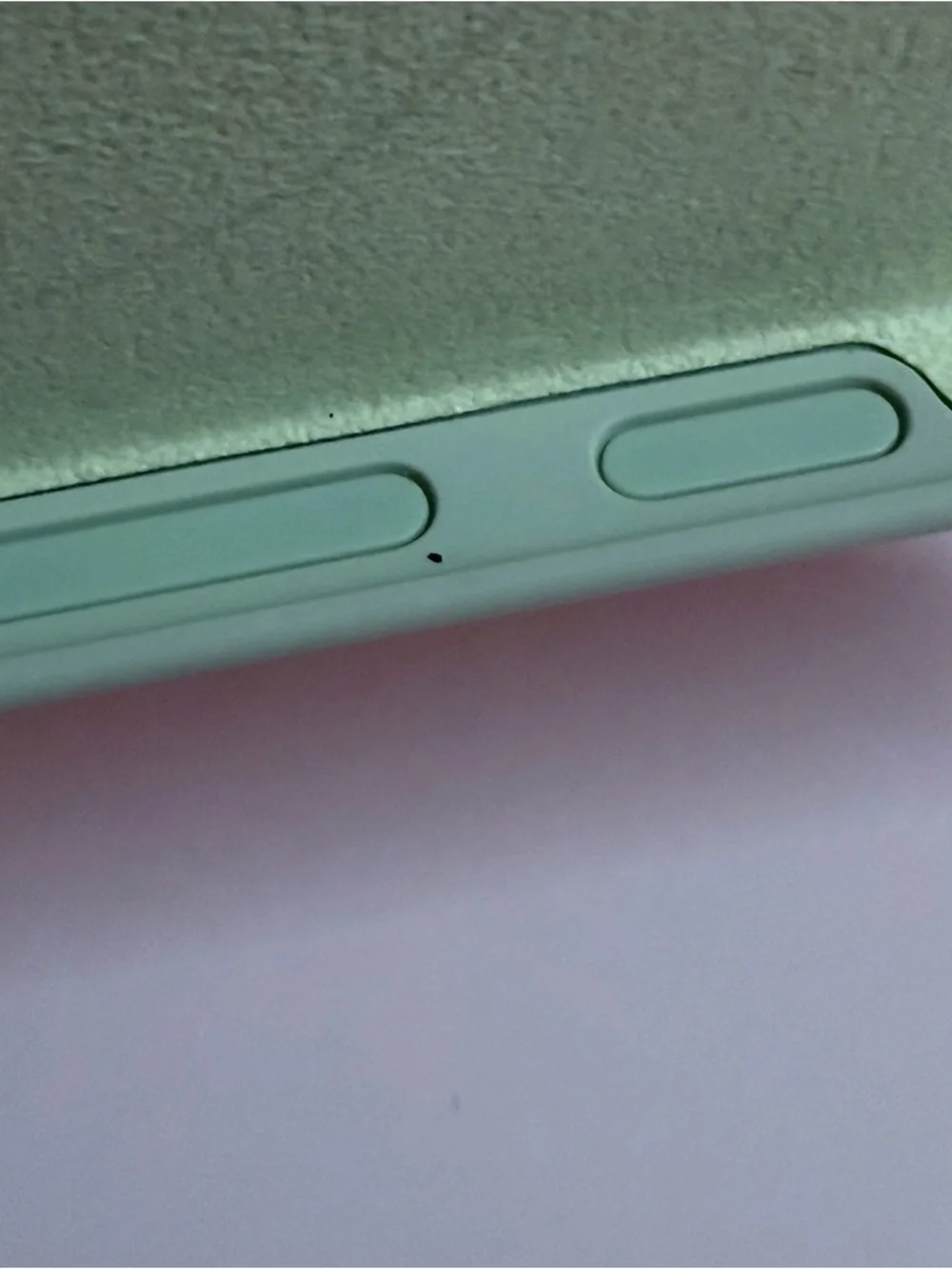 Google Pixelsnap Case for Pixel 10 Pro XL Jade Color